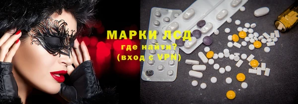 a pvp Новозыбков