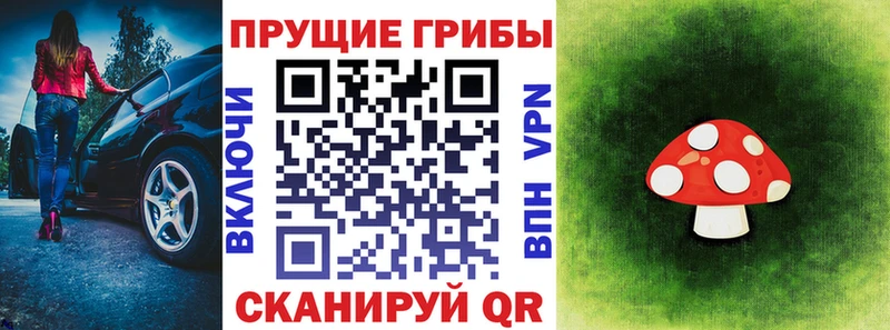 Псилоцибиновые грибы Psilocybe Котовск