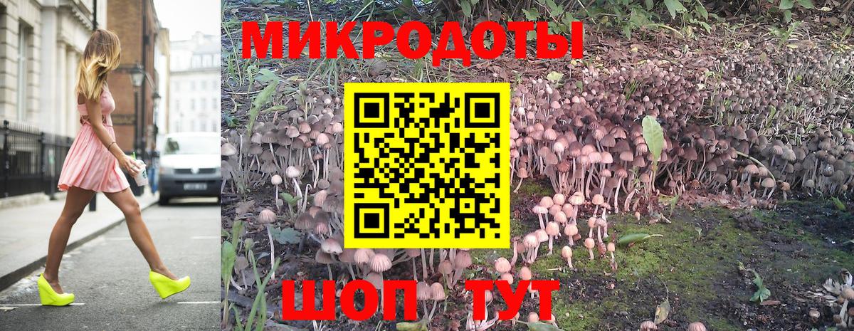 Псилоцибиновые грибы мухоморы Котовск